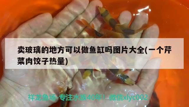 卖玻璃的地方可以做鱼缸吗图片大全(一个芹菜肉饺子热量)