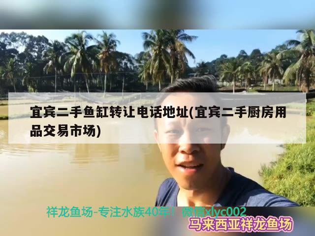 宜宾二手鱼缸转让电话地址(宜宾二手厨房用品交易市场)