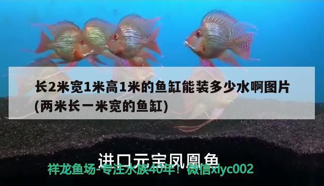 长2米宽1米高1米的鱼缸能装多少水啊图片(两米长一米宽的鱼缸)