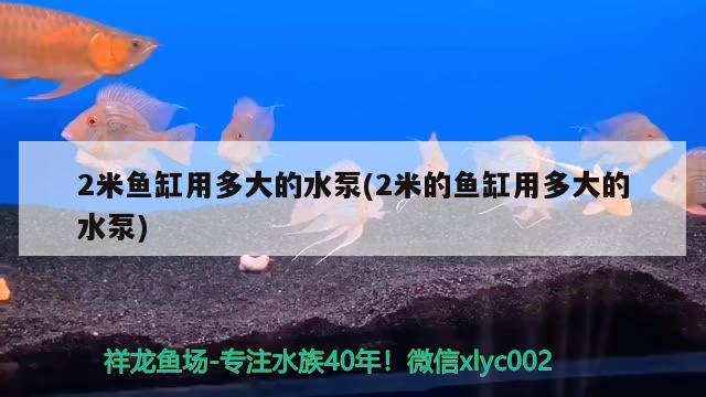 2米鱼缸用多大的水泵(2米的鱼缸用多大的水泵)