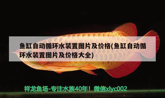 鱼缸自动循环水装置图片及价格(鱼缸自动循环水装置图片及价格大全)