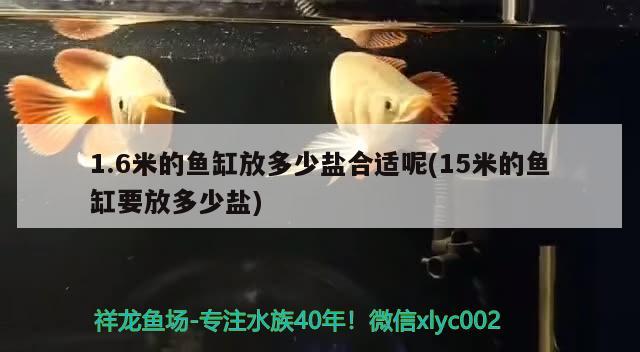 1.6米的鱼缸放多少盐合适呢(15米的鱼缸要放多少盐)