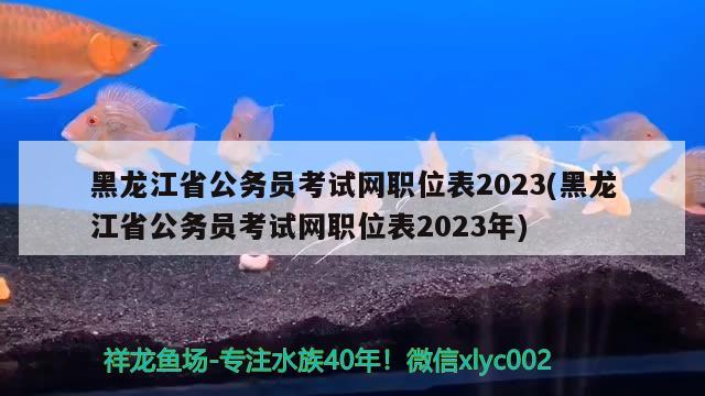 黑龙江省公务员考试网职位表2023(黑龙江省公务员考试网职位表2023年) 观赏鱼