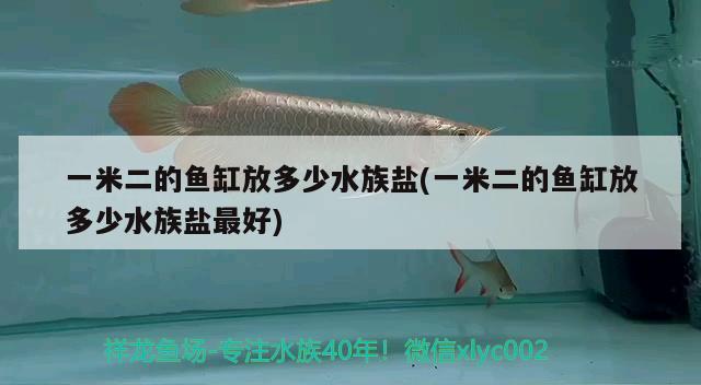 一米二的鱼缸放多少水族盐(一米二的鱼缸放多少水族盐最好)