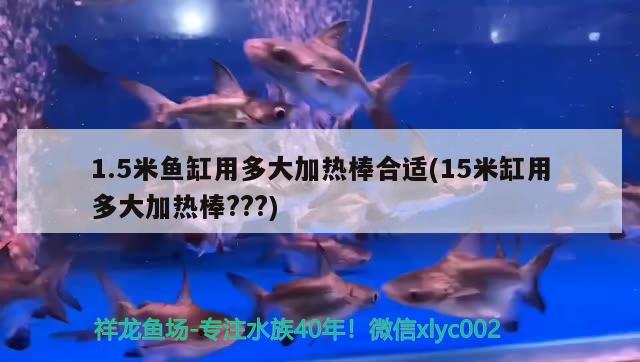 1.5米鱼缸用多大加热棒合适(15米缸用多大加热棒???) 非洲象鼻鱼