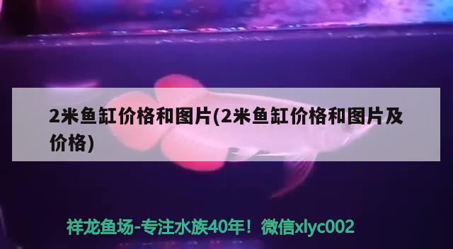 2米鱼缸价格和图片(2米鱼缸价格和图片及价格)