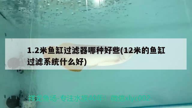 1.2米鱼缸过滤器哪种好些(12米的鱼缸过滤系统什么好) 充氧泵