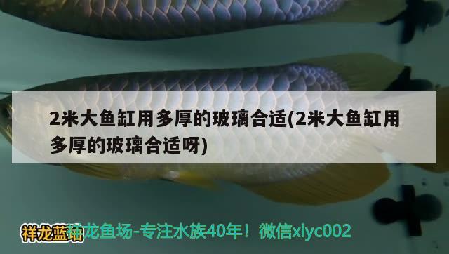 2米大鱼缸用多厚的玻璃合适(2米大鱼缸用多厚的玻璃合适呀) 埃及神仙鱼 第2张