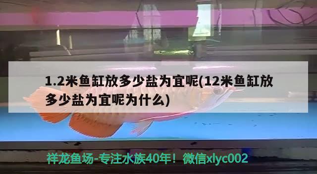 1.2米鱼缸放多少盐为宜呢(12米鱼缸放多少盐为宜呢为什么) 观赏鱼