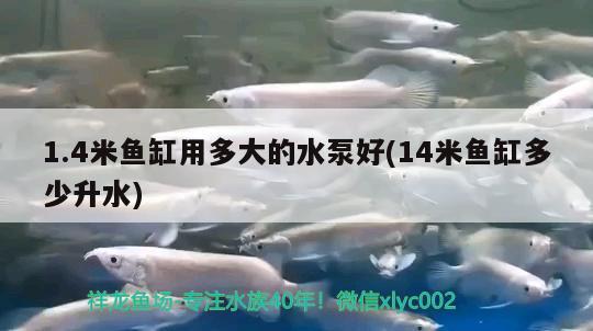 1.4米鱼缸用多大的水泵好(14米鱼缸多少升水)