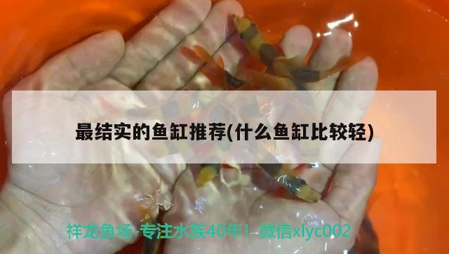 最结实的鱼缸推荐(什么鱼缸比较轻) 水族杂谈