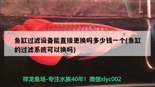 鱼缸过滤设备能直接更换吗多少钱一个(鱼缸的过滤系统可以换吗) 过滤设备