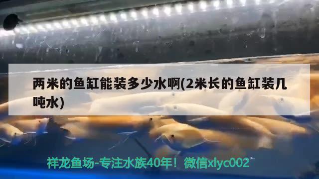 两米的鱼缸能装多少水啊(2米长的鱼缸装几吨水)