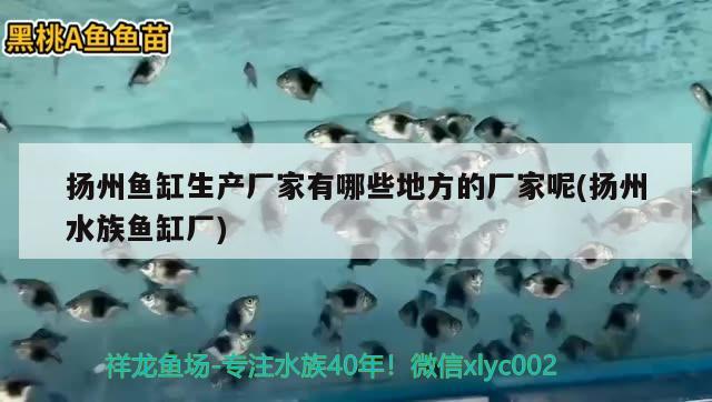 扬州鱼缸生产厂家有哪些地方的厂家呢(扬州水族鱼缸厂) 硝化细菌