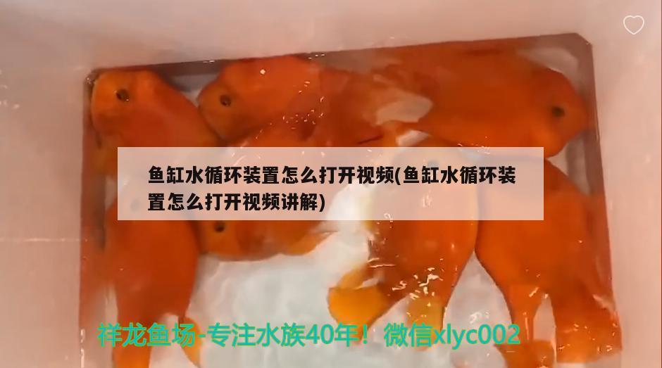 鱼缸水循环装置怎么打开视频(鱼缸水循环装置怎么打开视频讲解) 广州龙鱼批发市场