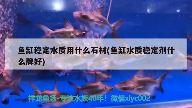 鱼缸稳定水质用什么石材(鱼缸水质稳定剂什么牌好)