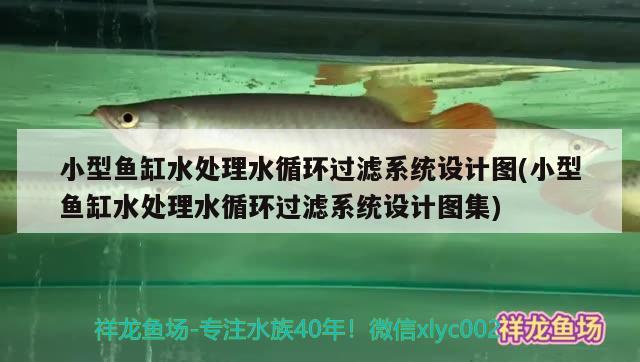 小型鱼缸水处理水循环过滤系统设计图(小型鱼缸水处理水循环过滤系统设计图集) 肥料