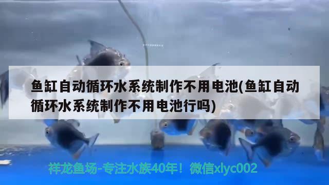 鱼缸自动循环水系统制作不用电池(鱼缸自动循环水系统制作不用电池行吗)