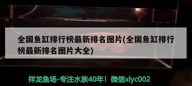 全国鱼缸排行榜最新排名图片(全国鱼缸排行榜最新排名图片大全) 福魟魟鱼