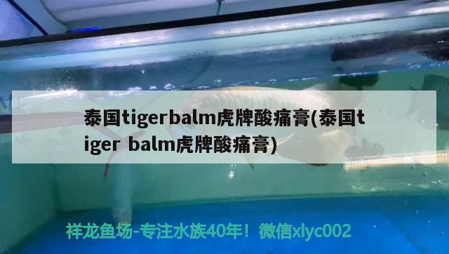 泰国tigerbalm虎牌酸痛膏(泰国tigerbalm虎牌酸痛膏)