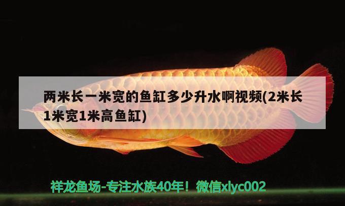 两米长一米宽的鱼缸多少升水啊视频(2米长1米宽1米高鱼缸) 丹顶锦鲤鱼