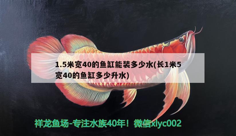 1.5米宽40的鱼缸能装多少水(长1米5宽40的鱼缸多少升水) 祥龙进口元宝凤凰鱼