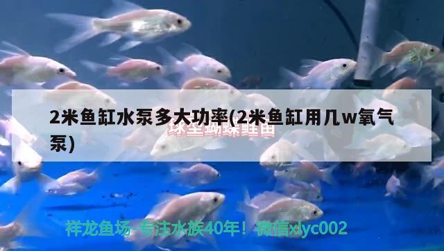 2米鱼缸水泵多大功率(2米鱼缸用几w氧气泵) 鱼缸水泵