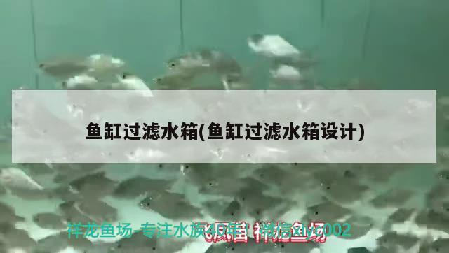 鱼缸过滤水箱(鱼缸过滤水箱设计) 鱼缸等水族设备 第2张