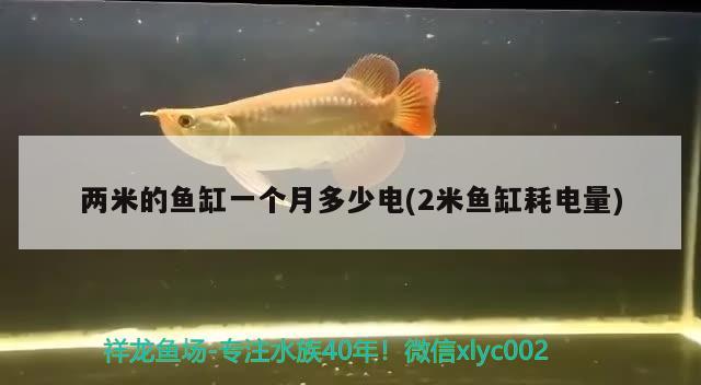 两米的鱼缸一个月多少电(2米鱼缸耗电量)