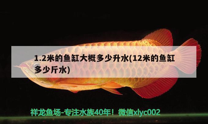 1.2米的鱼缸大概多少升水(12米的鱼缸多少斤水)