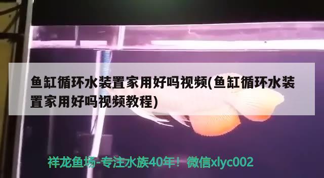 鱼缸循环水装置家用好吗视频(鱼缸循环水装置家用好吗视频教程)