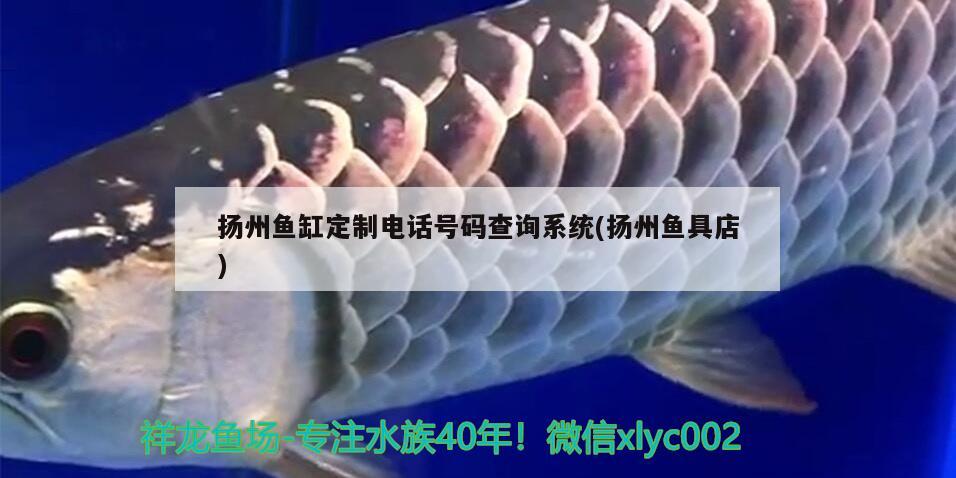 扬州鱼缸定制电话号码查询系统(扬州鱼具店) 银河星钻鱼