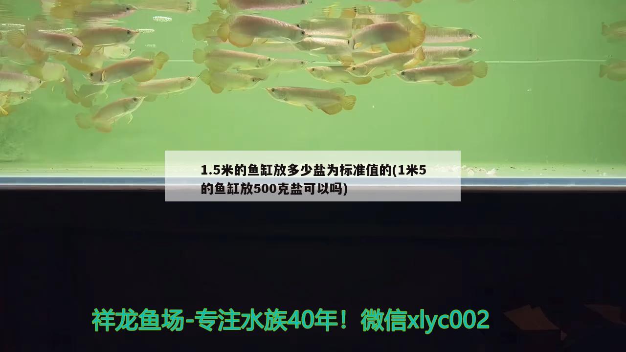 1.5米的鱼缸放多少盐为标准值的(1米5的鱼缸放500克盐可以吗)