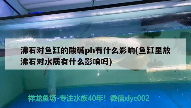 沸石对鱼缸的酸碱ph有什么影响(鱼缸里放沸石对水质有什么影响吗)