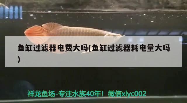 鱼缸过滤器电费大吗(鱼缸过滤器耗电量大吗) 2024第28届中国国际宠物水族展览会CIPS（长城宠物展2024 CIPS）