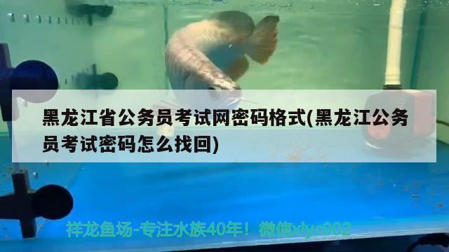 黑龙江省公务员考试网密码格式(黑龙江公务员考试密码怎么找回)