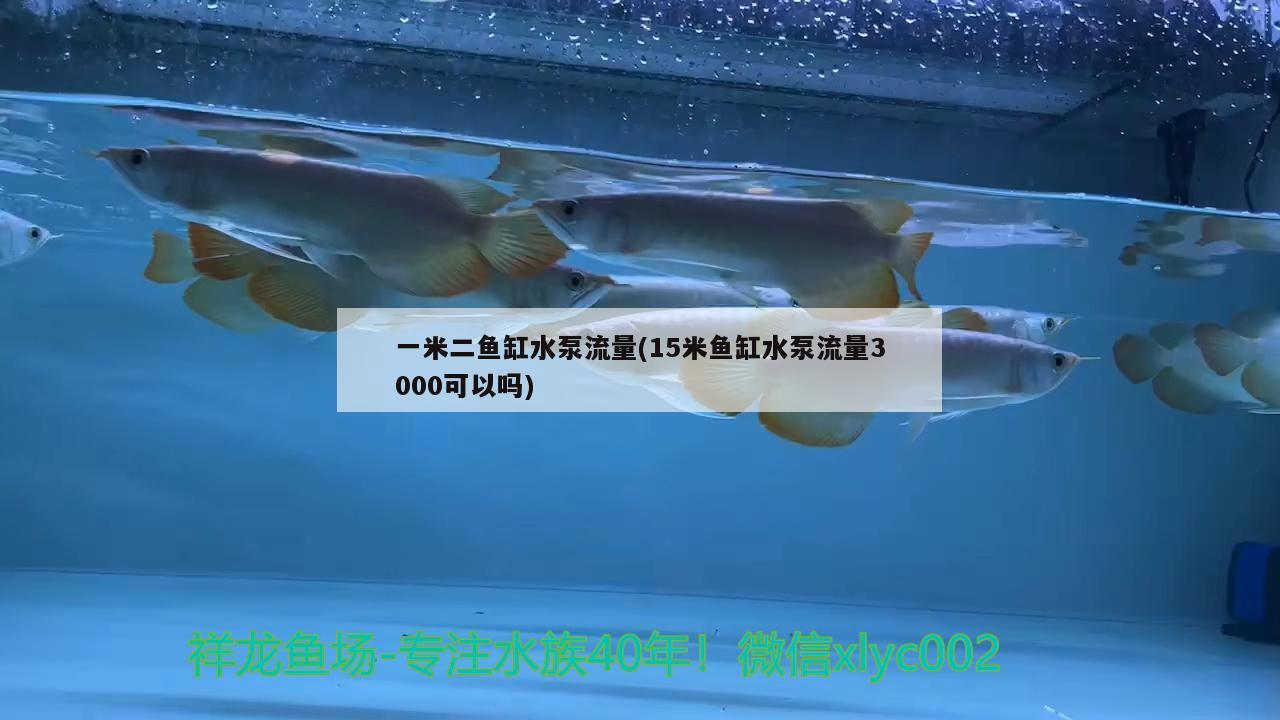 一米二鱼缸水泵流量(15米鱼缸水泵流量3000可以吗)