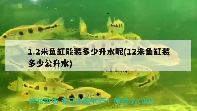 1.2米鱼缸能装多少升水呢(12米鱼缸装多少公升水) 黑帝王魟鱼