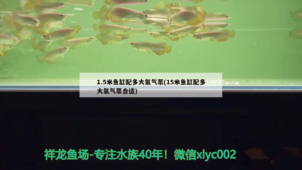 1.5米鱼缸配多大氧气泵(15米鱼缸配多大氧气泵合适)