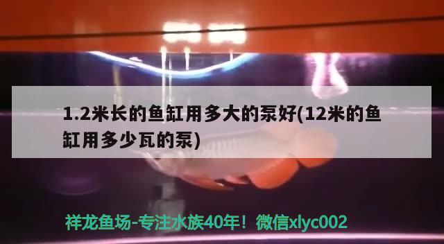 1.2米长的鱼缸用多大的泵好(12米的鱼缸用多少瓦的泵)