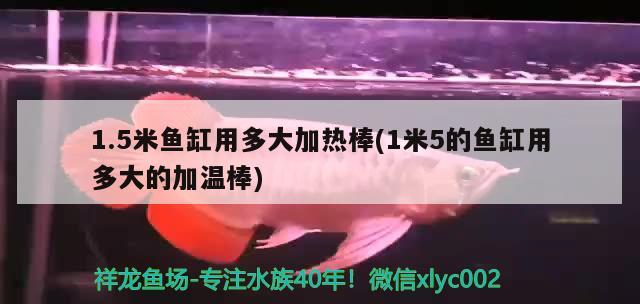 1.5米鱼缸用多大加热棒(1米5的鱼缸用多大的加温棒) 撒旦鸭嘴鱼