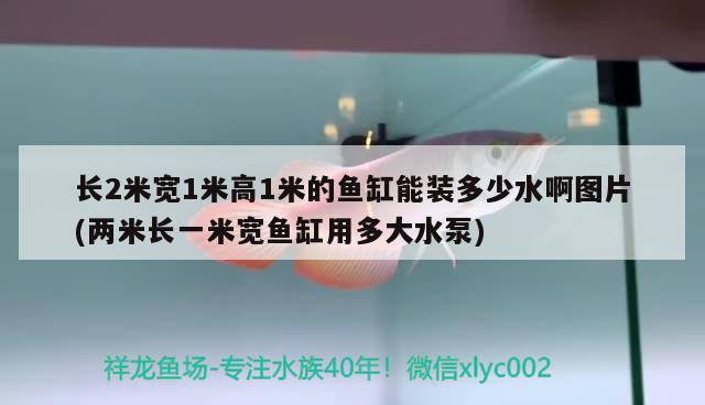 长2米宽1米高1米的鱼缸能装多少水啊图片(两米长一米宽鱼缸用多大水泵)