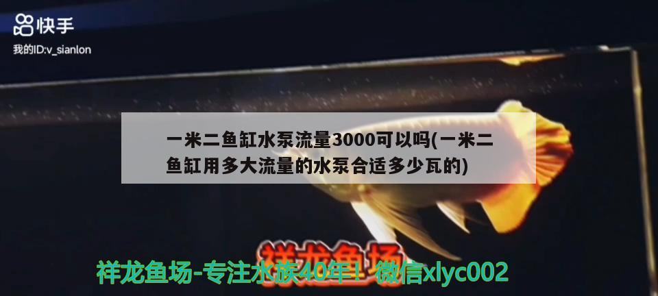 一米二鱼缸水泵流量3000可以吗(一米二鱼缸用多大流量的水泵合适多少瓦的)