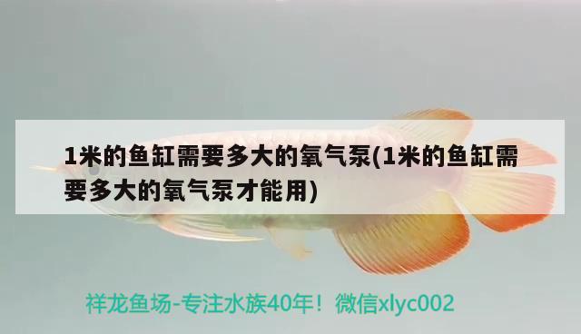 1米的鱼缸需要多大的氧气泵(1米的鱼缸需要多大的氧气泵才能用)