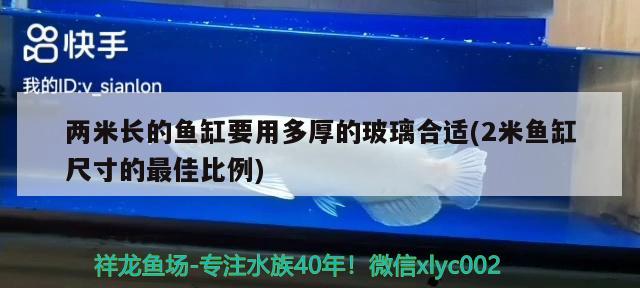 两米长的鱼缸要用多厚的玻璃合适(2米鱼缸尺寸的最佳比例) 飞凤鱼苗