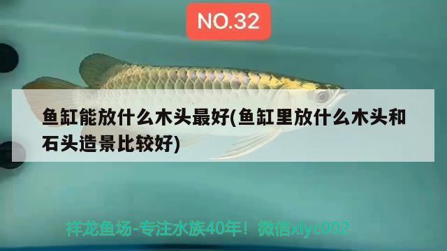 鱼缸能放什么木头最好(鱼缸里放什么木头和石头造景比较好) 水族品牌