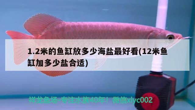 1.2米的鱼缸放多少海盐最好看(12米鱼缸加多少盐合适)