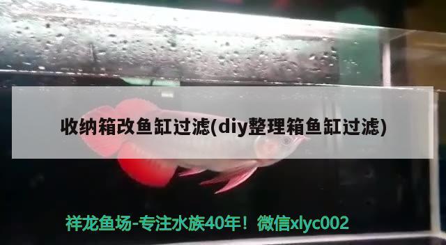 收纳箱改鱼缸过滤(diy整理箱鱼缸过滤)