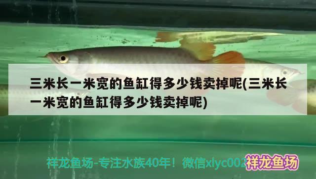 三米长一米宽的鱼缸得多少钱卖掉呢(三米长一米宽的鱼缸得多少钱卖掉呢)