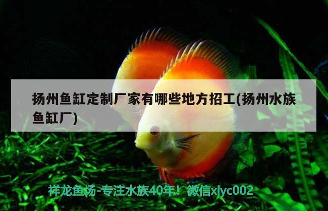 扬州鱼缸定制厂家有哪些地方招工(扬州水族鱼缸厂)